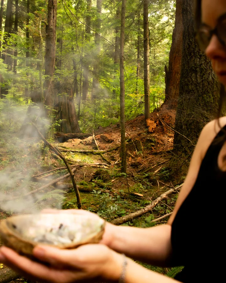 Smoke drifting from a shell in the forest light