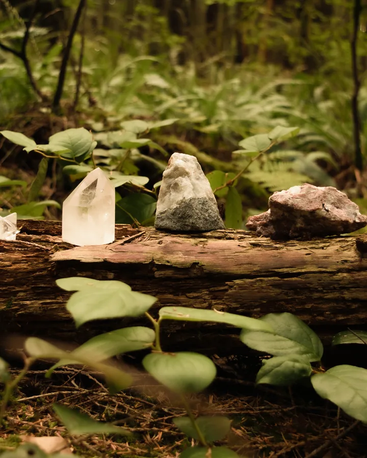 Clear quartz and rough stones lined up on a fallen log